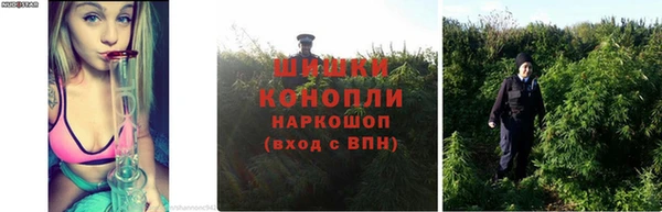 mix Белокуриха