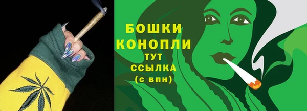 ALPHA PVP Строитель