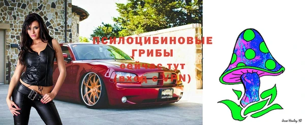 mix Белокуриха