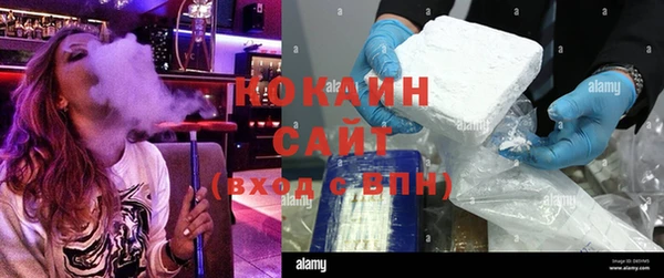 гашиш Богданович