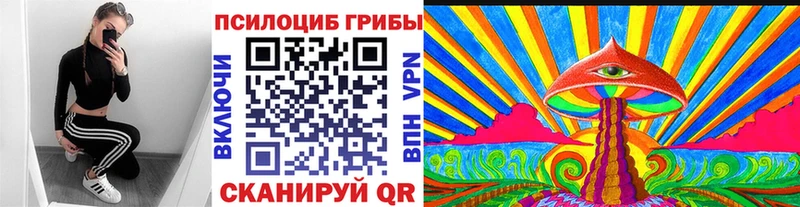 blacksprut зеркало  Верхний Тагил  Псилоцибиновые грибы MAGIC MUSHROOMS 